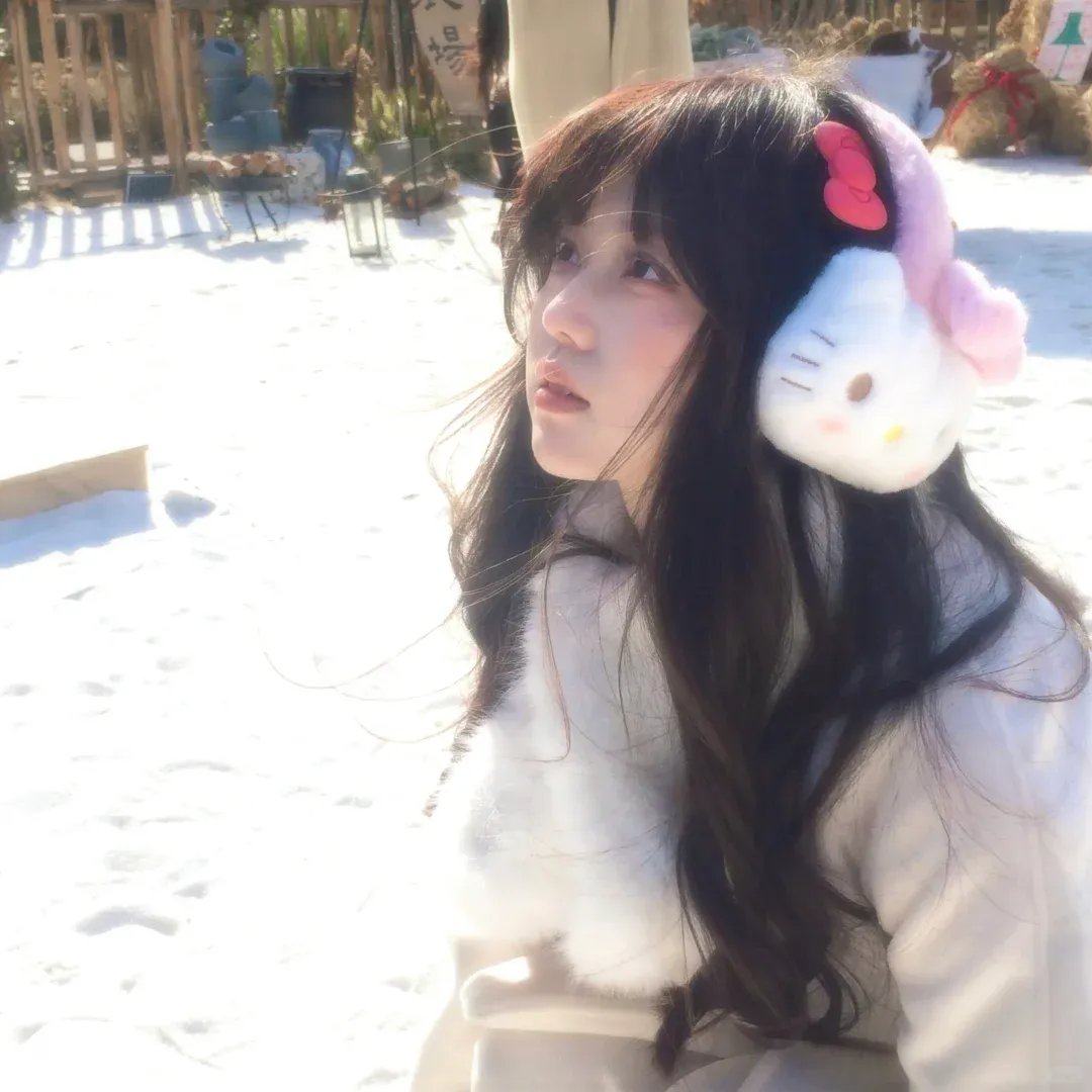 功夫阿宝:天下无拐